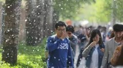 滦州龙翔水上餐厅高能预警：讨人厌的